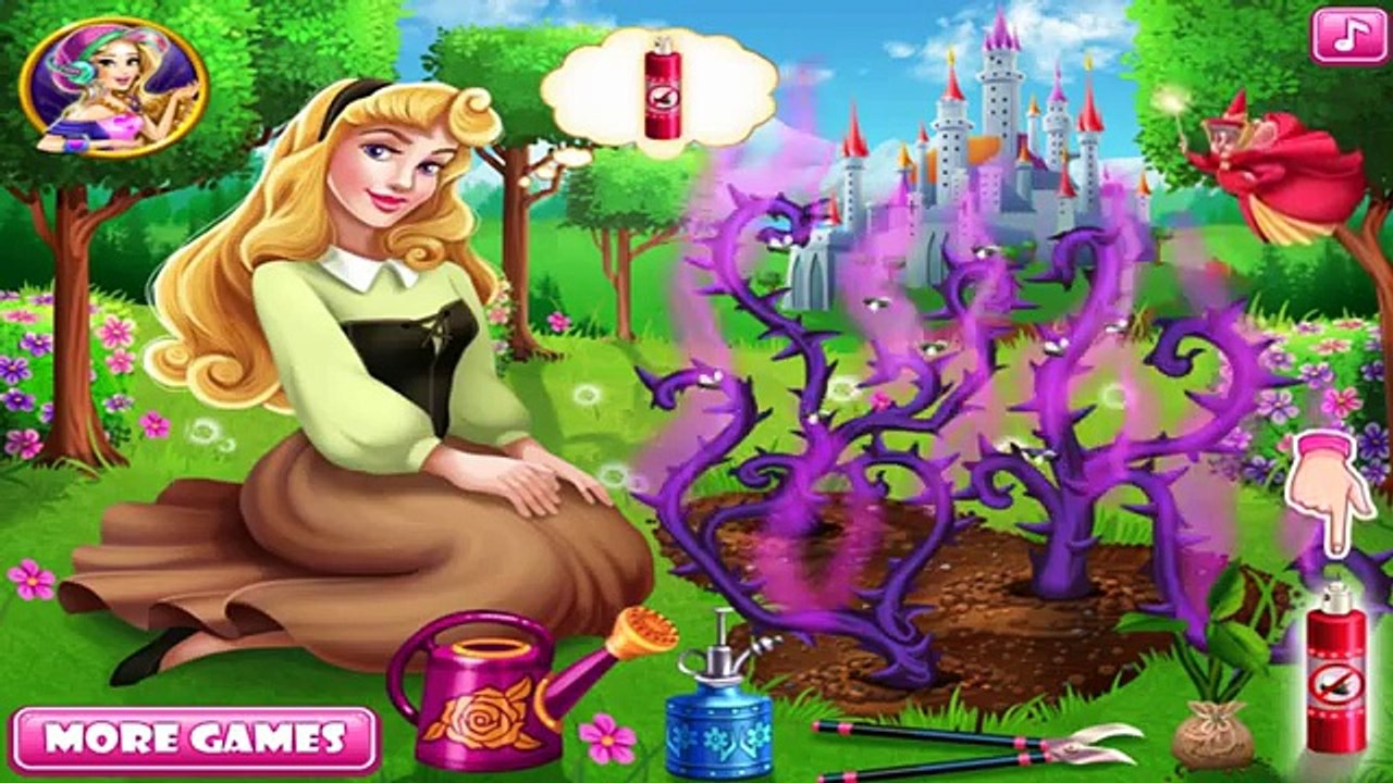 Северное сияние Авроры красота для игра Сад Дети Принцесса Роза Роза Спящая