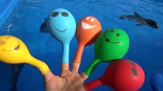 Надувные шарики цвета Семья палец для дружественные весело Дети Узнайте Песня в с улыбается дельфинов