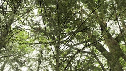 The Arrangement episode 3 promo