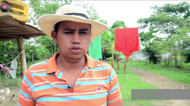 Sentimos temor por incursión de militares venezolanos