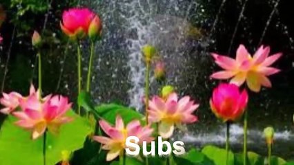 kobore pase ashe || Bangla Islamic songs 2017