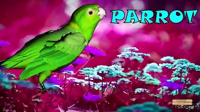 Aprender De Los Animales Domésticos Para Niños De Preescolar | Aprendizaje De Los Animales Domésticos Nombres Para Childr