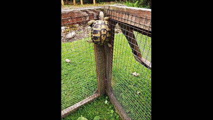 【決定的瞬間】よくぞ撮ったこの瞬間！ 思わず二度見してしまう世界の決定的瞬間を捉えたおもしろ写真【驚愕】③