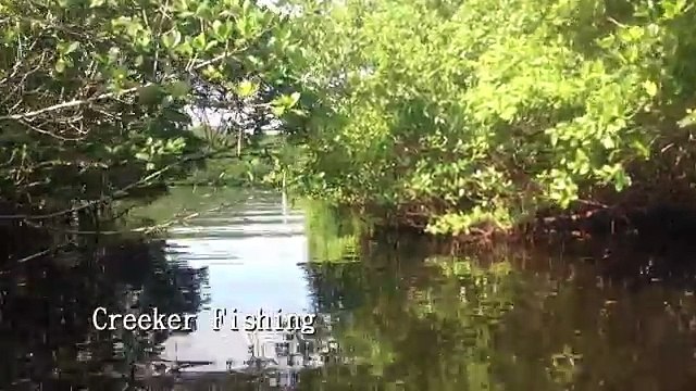 Flats Fishing South Tampa Bay