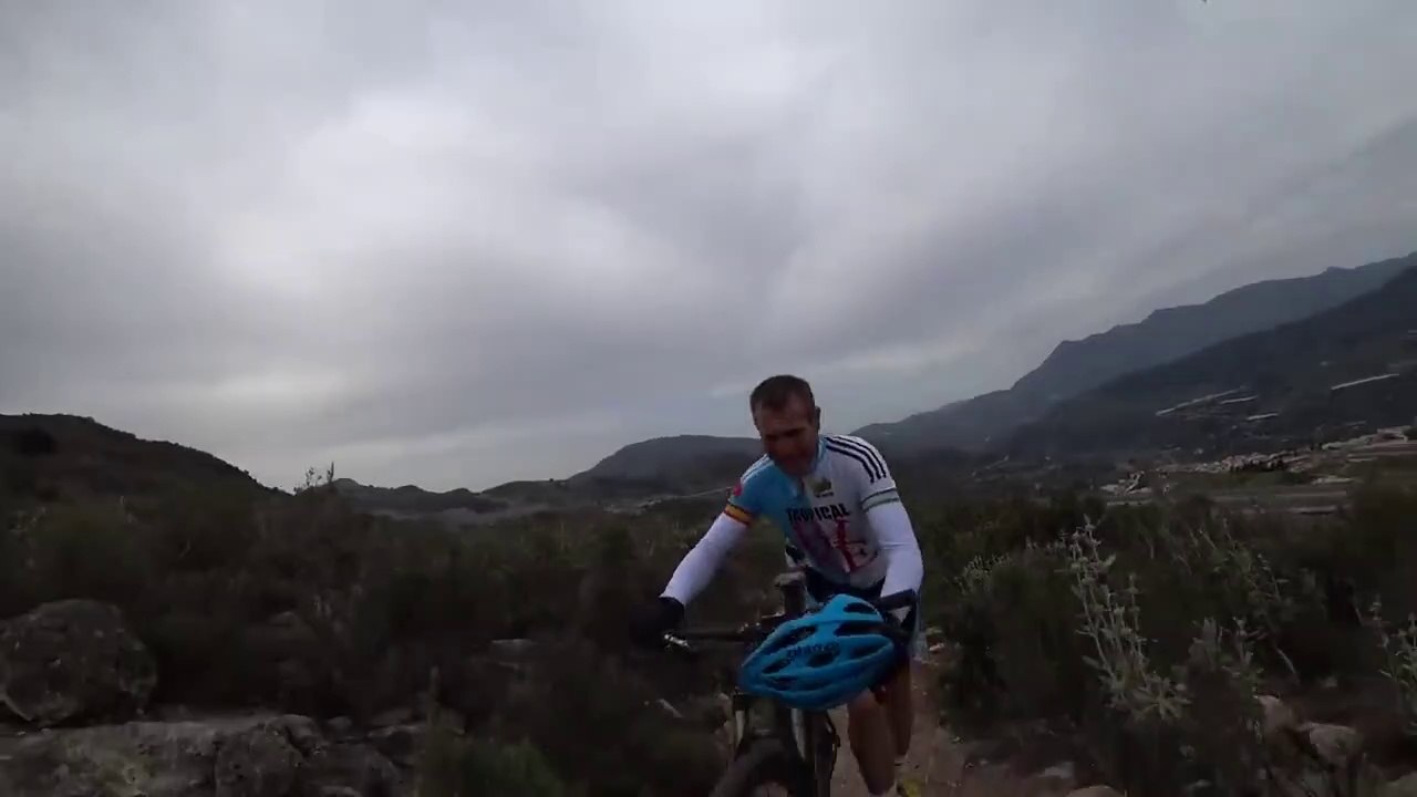 Des cyclistes attaqués par un essaim d'abeilles furieuses