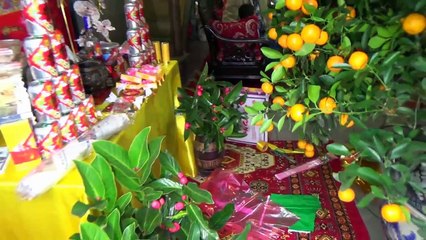 Tân Hồng Thái Chào Xuân - Tập 2 - NAM ĐỊNH SANG XUÂN