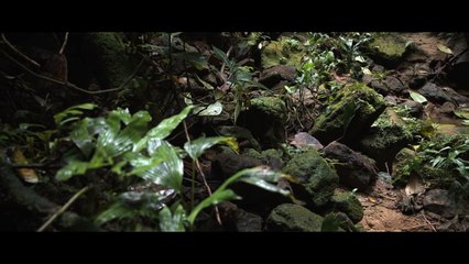 Leo Burnett pour Crosscall - «Reconnect with nature» - mars 2017