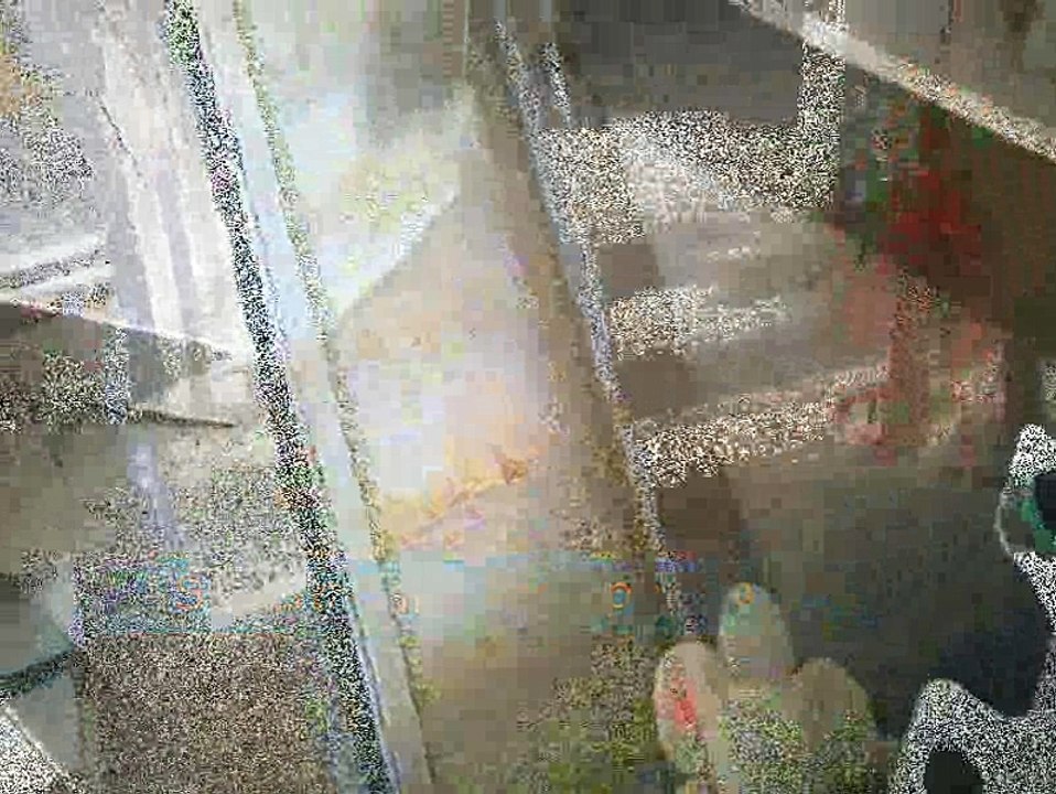 TECHNO D - Weigher for rice cakes