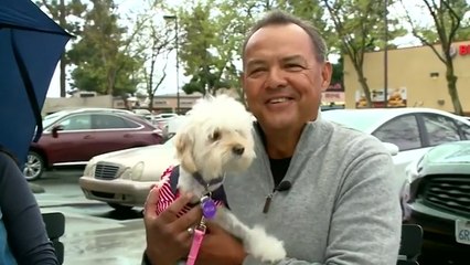 This Amputee Adopted An Amputee Dog