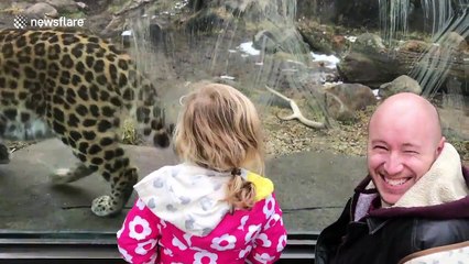 Leopard repeatedly scares girl at zoo