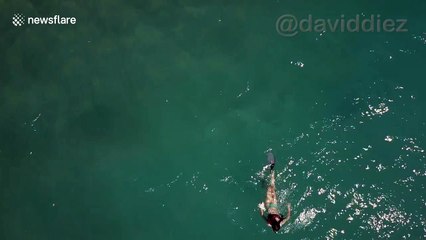 Swimmer comes ominously close to being attacked by shark
