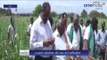 Farmers demand action against dying factories