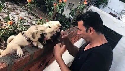Akshay Kumar Fun with Puppy