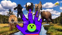 Lion,Tiger,Cheetah Finger Family 3d animals animated English rhymes Collection 2 hours vid