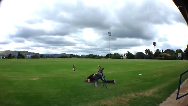 Fails les plus drôles et douloureux de la semaine ;)