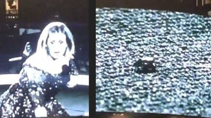 Il n’y a qu’Adele pour réagir comme ça en plein concert face à un scarabé