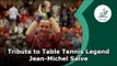 Tribute to Jean-Michel Saive