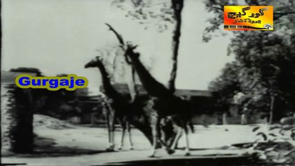 sohni dherti allah rakhay qadam qadam .. gurgaje productions