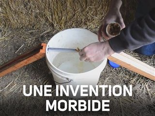 Un piège à souris redoutable : sordide ou génial ?