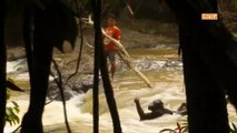 Watch These Guys Rescue a Drowning Orangutan