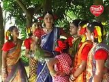 ভাওয়াইয়া গান rangpur bhawaiya song বাপই চেংরারে হে গাছত উঠিয়া হা দুইটা জলপাই পারিয়া দে।  New Bangla Folk Songs l Bahe Tv