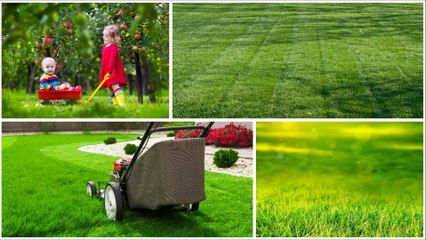 Anthonys Landscape - (916) 770-6768