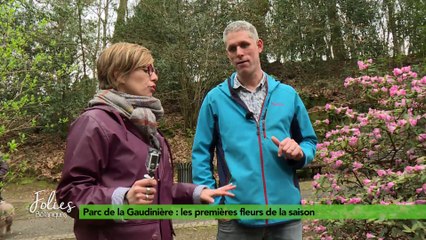 Folies Botaniques au Parc de la Gaudinière : les bulbes