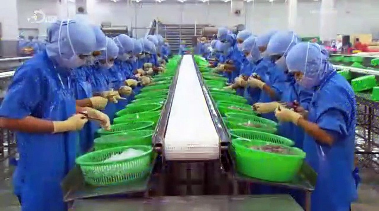 How Its Made Frozen Shrimp