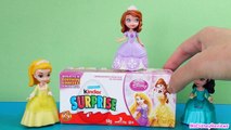 Toy Compilation DISNEY PRINCESS SURPRISE EGGS Surprise Toys Kinder Surprise Eggs Biggest S