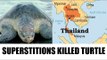 Thailand turtle that ate 5 kg coins died | Oneindia News