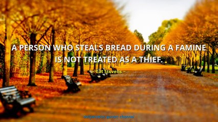 Cat Stevens Quotes #1