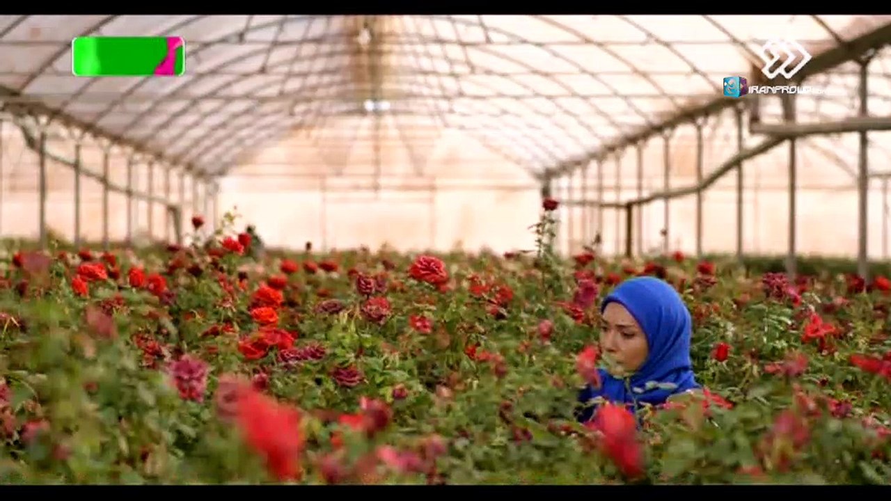 Marze_Khoshbakhti_05