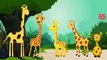 Finger Family Giraffe | ChuChu TV Animal Finger Family Nursery Rhymes Songs For Children