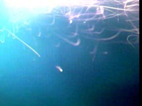 walid momo et marwan:mortier o bled (en tunisie)