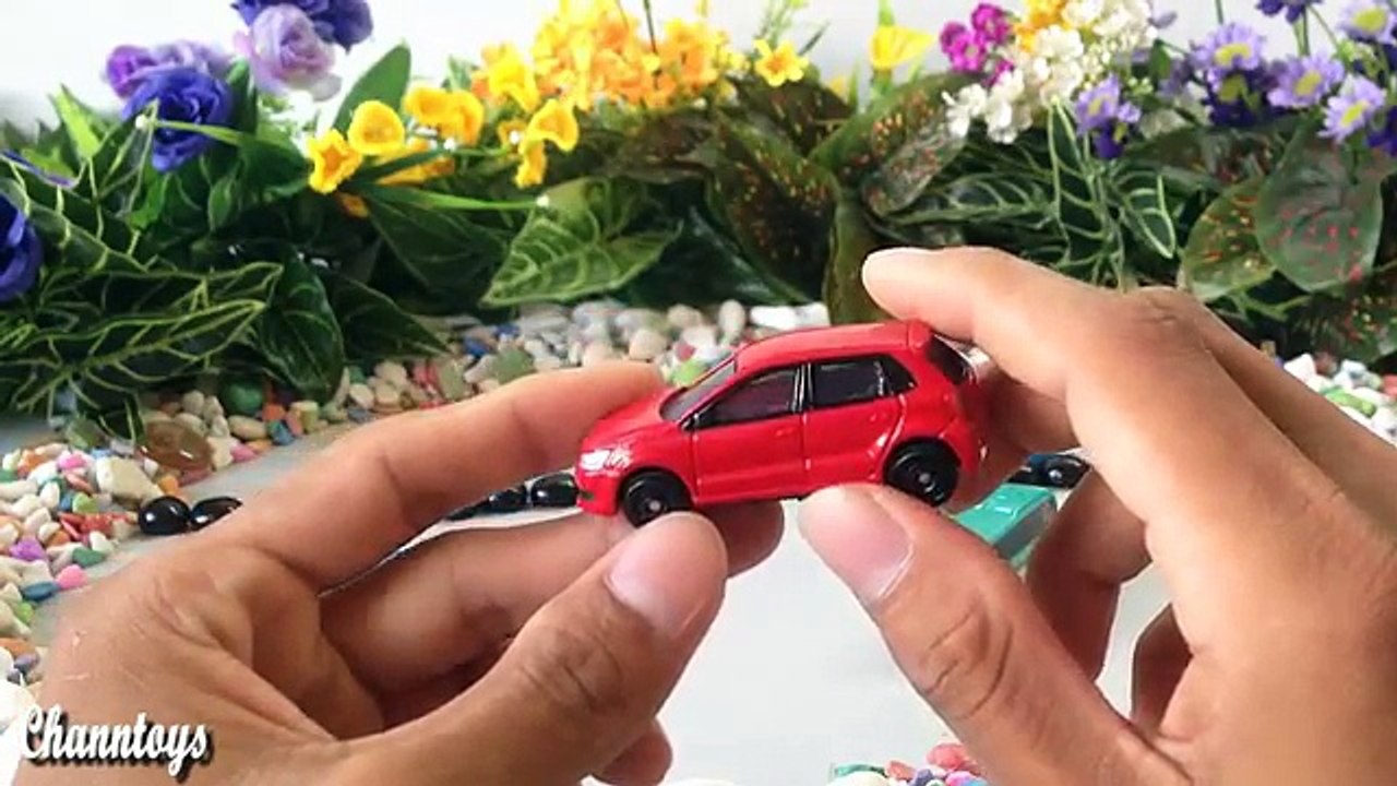 Interesting with Animal Transporter | Mazda Atenza | Honda CR V