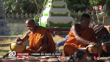 Thaïlande : un Français veut redonner vie aux forêts