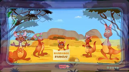 Kangaroo Cartoon Playing And Singing Finger Family Nursery Rhymes For Children - Australia