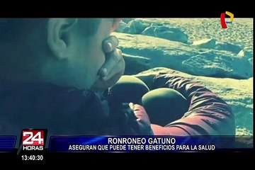 ¿Sabías que el ronroneo de gato es bueno para tu salud?