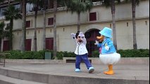 ºoº 東京ディズニーシー 開園ウェルカム グリーティング ミッキー & ドナルド バージョン