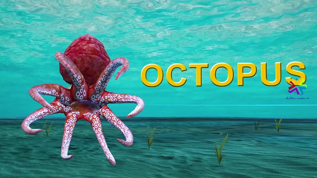 Learn Sea Animals Names and Facts - Water Animals For Kids