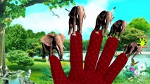 Animals Finger Family Songs | Animals Kids Songs | Wild Animals Baby Rhymes | Dinosaurs Vi