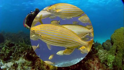 AGRADECIMENTO AOS AMIGOS DO FACEBOOK