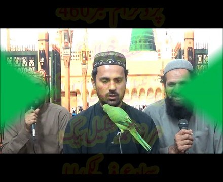 NaatChannel Naats 460, syed nabil shah,,mirza shakeel baig, lucky baba,,آیئں نعتیں سنیں،نعت چینل نعتیں،