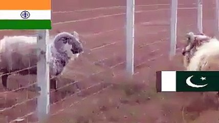 انڈیا کو بارڈر پے چھیڑ چھاڑ کرنا بہاری پڑ گیا