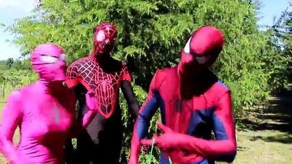 Frozen Elsa vs Maleficent! w/ Spiderman & Pink Spidergirl, Joker, Catwoman & Candy Gum :)