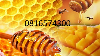 0816574300 Jual Madu Anak Mamberamo Raya