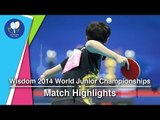 2014 Junior Worlds Highlights: Wang Chuqin/Chen Xingtong Vs Lyu Xiang/Wang Manyu  (FINAL)