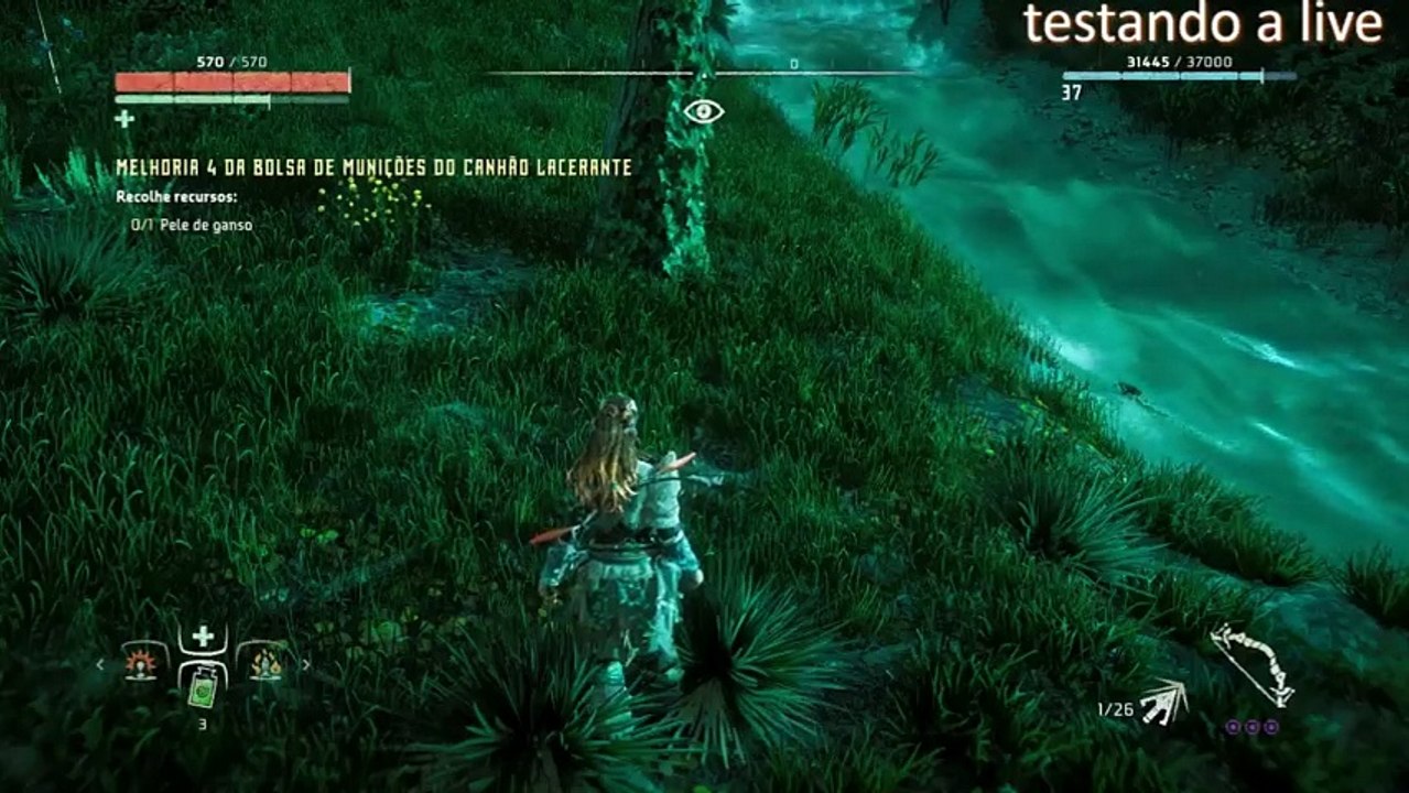 Horizon Zero Dawn (67)