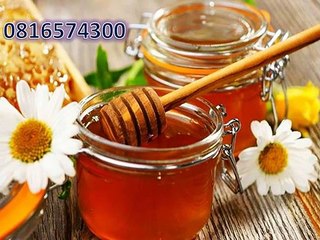 0816574300 (Indosat ) Distributor Madu Anak Kepulauan Mentawai