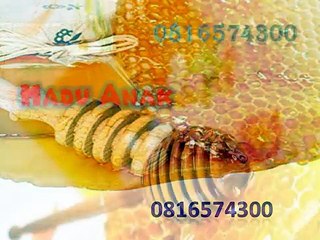 0816574300 (Indosat ) Distributor Madu Anak Pesisr Selatan